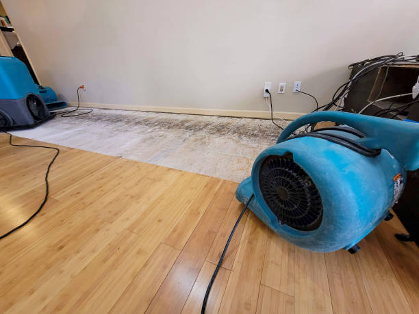 Professional Basement Flood Cleanup technician working in Hingham, WI